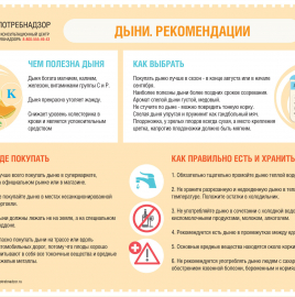 О рекомендациях, как выбрать дыню