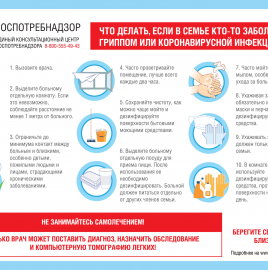 О рекомендациях, что делать, если в семье кто-то заболел гриппом или коронавирусной инфекцией
