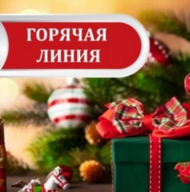 Тематическое консультирование граждан по вопросам качества и безопасности детских товаров, выборе новогодних подарков