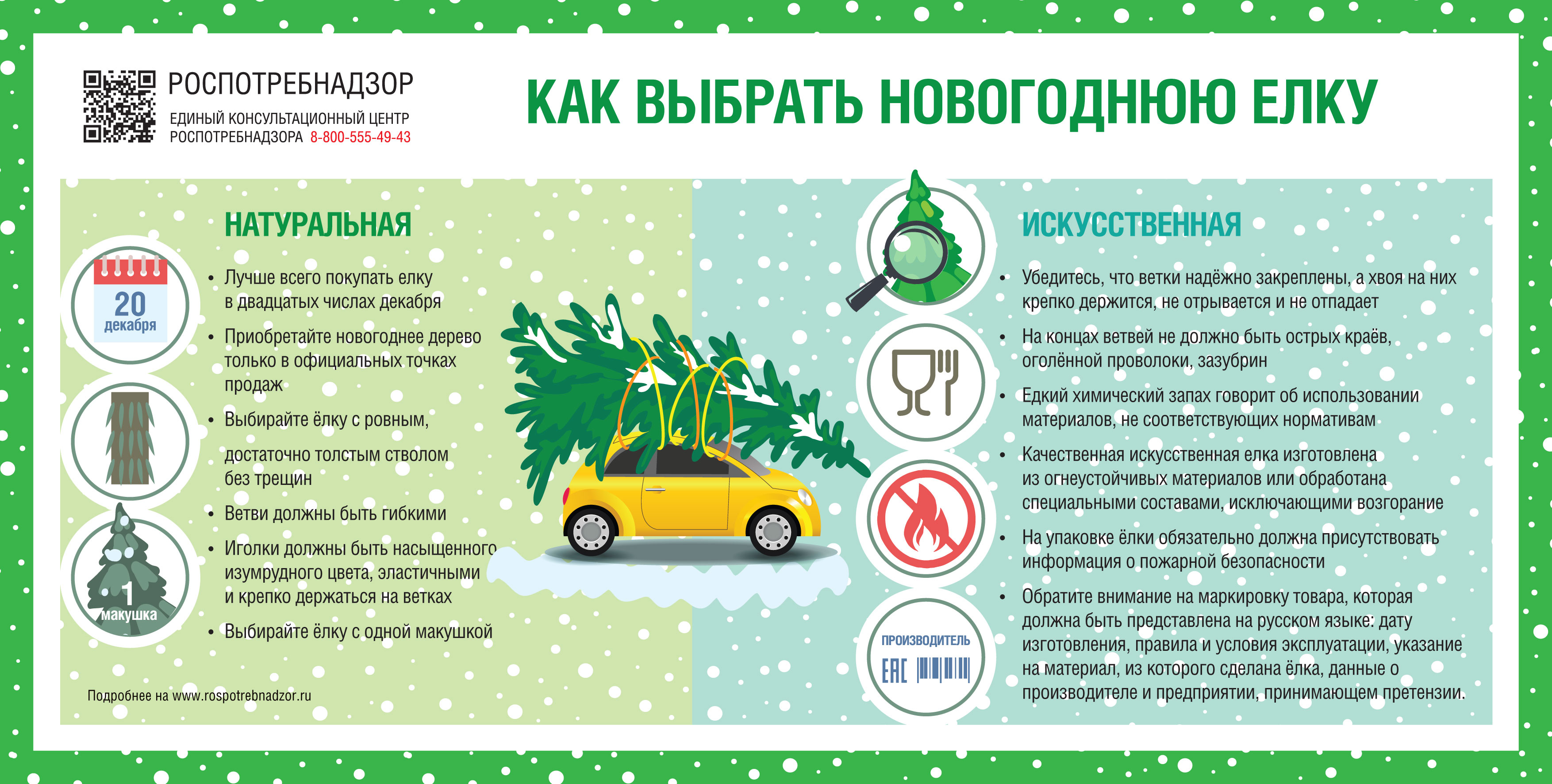 О рекомендациях как выбрать новогоднюю елку