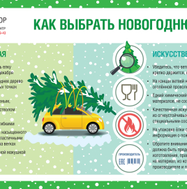 О рекомендациях как выбрать новогоднюю елку