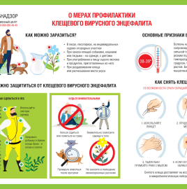 О рекомендациях, куда обращаться в случае присасывания клещей