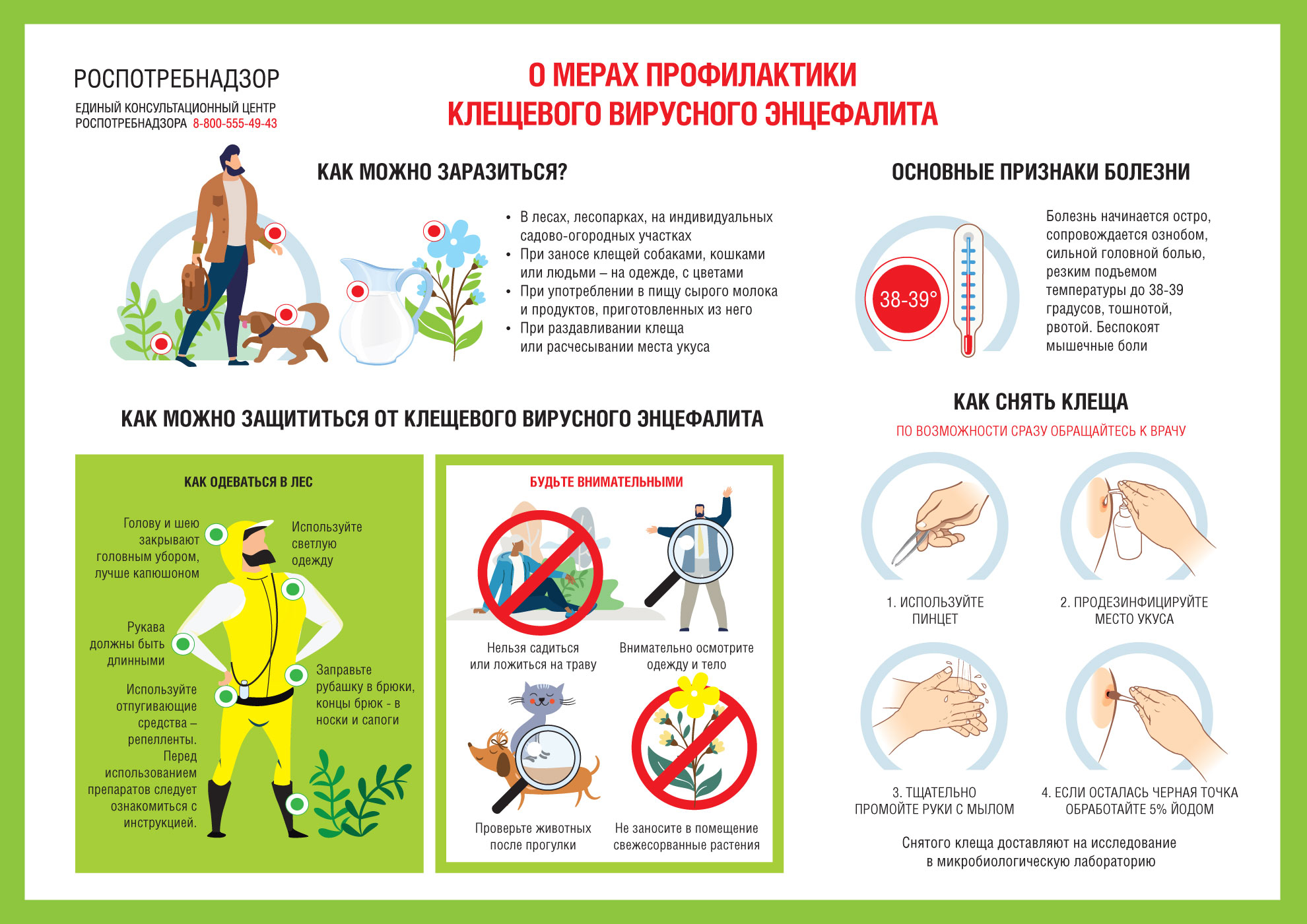 О рекомендациях, куда обращаться в случае присасывания клещей