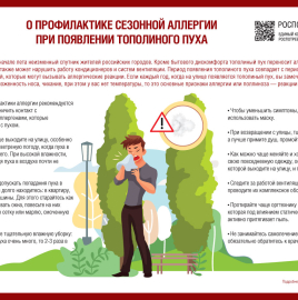 О профилактике сезонной аллергии при появлении тополиного пуха