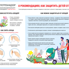О рекомендациях, как защитить детей от клещей