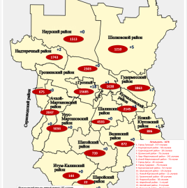 О ситуации по COVID-19 в Чеченской Республике на 22.08.2022