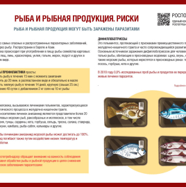 О рисках, связанных с употреблением рыбы и рыбной продукции
