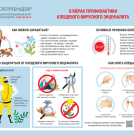 22 февраля – Всемирный день борьбы с клещевым вирусным энцефалитом