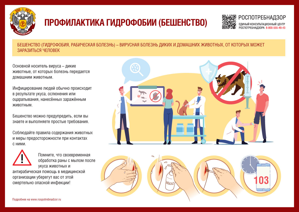 РЕКОМЕНДАЦИИ ГРАЖДАНАМ: Профилактика бешенства