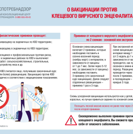  Вакцинация от клещевого энцефалита: когда ставить прививку?
