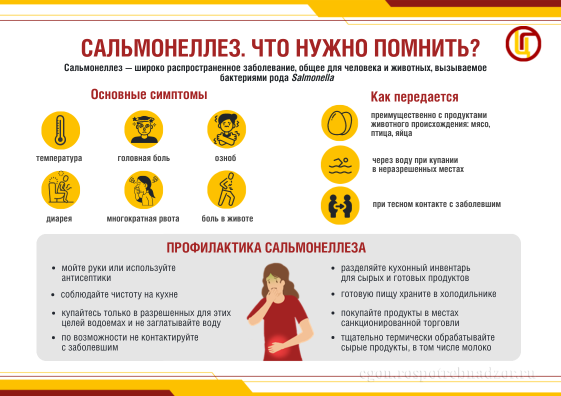 Осторожно, сальмонеллез!