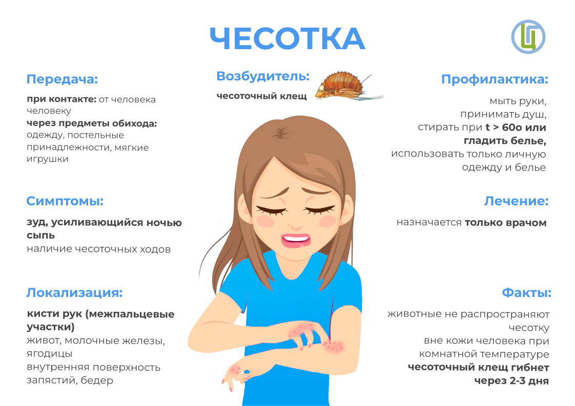 О профилактике чесотки