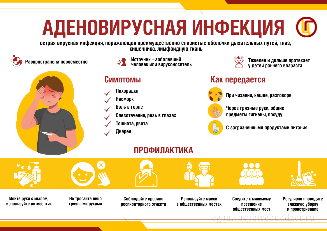 Роспотребнадзор: аденовирусы хорошо изучены, но соблюдение мер профилактики остается важным