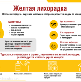 Профилактика желтой лихорадки