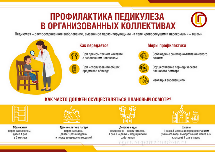 Роспотребнадзор информирует о мерах профилактики педикулёза