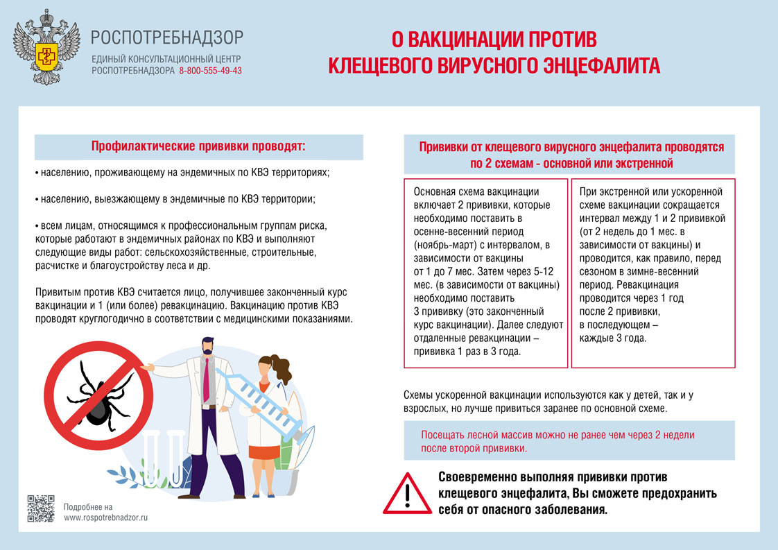 Запланируйте вакцинацию от клещевого энцефалита уже сегодня
