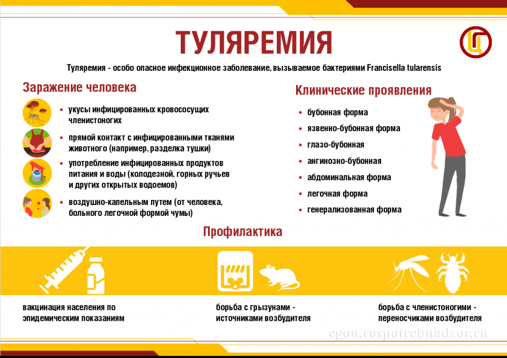 6 июня – Всемирный день борьбы с вредителями