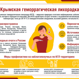 Профилактика Крымской геморрагической лихорадки (КГЛ)