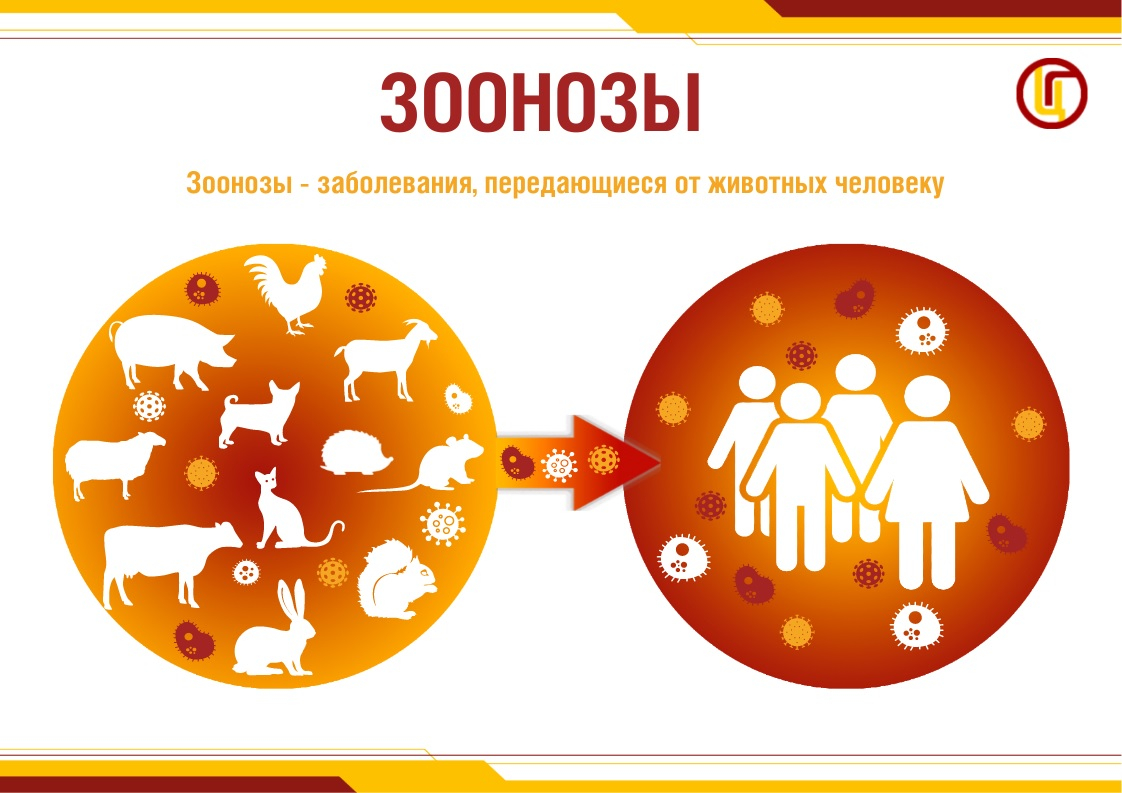 6 июля - Всемирный день зоонозных заболеваний.