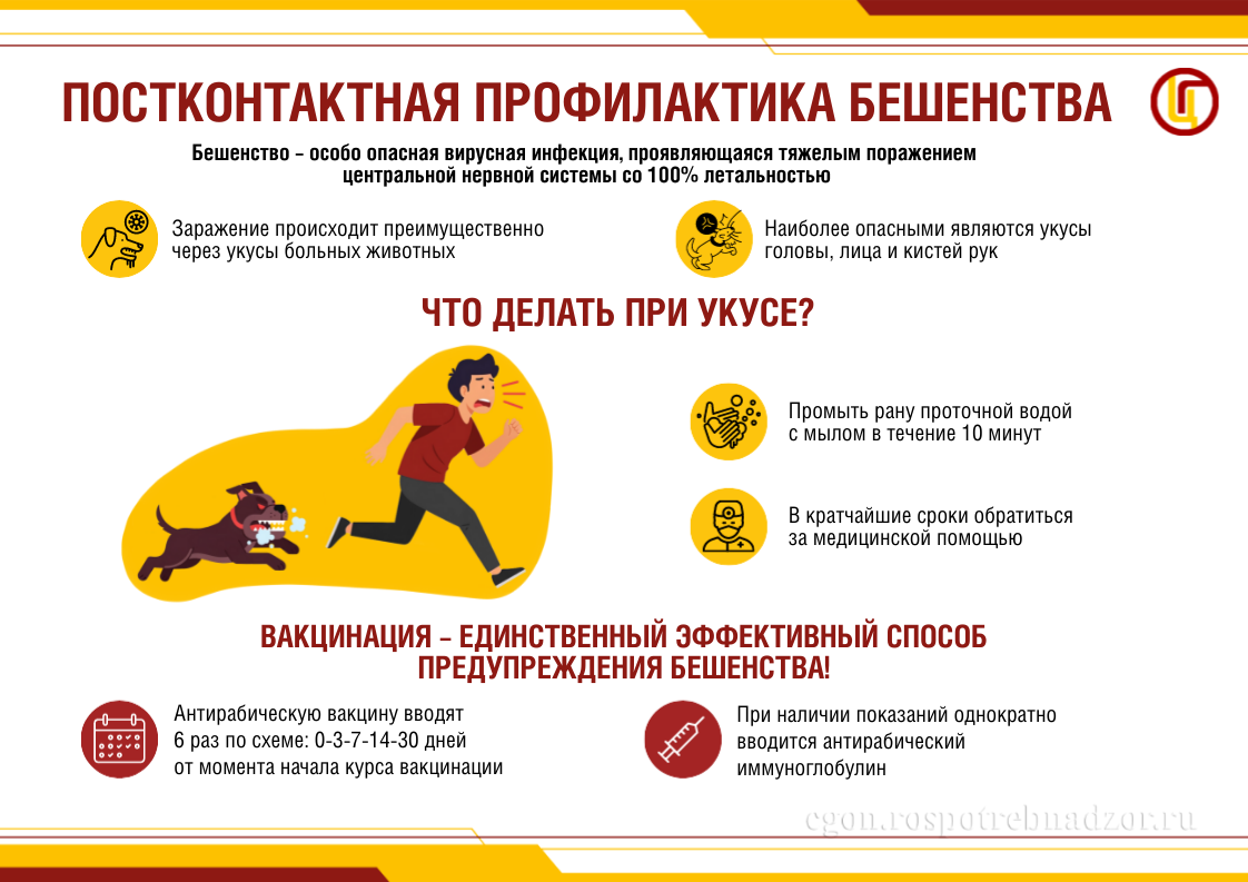 В.Н. Касян: Стоит ли беременным вакцинироваться от бешенства?