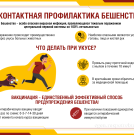 В.Н. Касян: Стоит ли беременным вакцинироваться от бешенства?