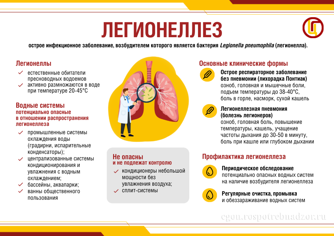 Н.Ю. Пшеничная: можно ли заразиться легионеллезом при использовании кондиционера?