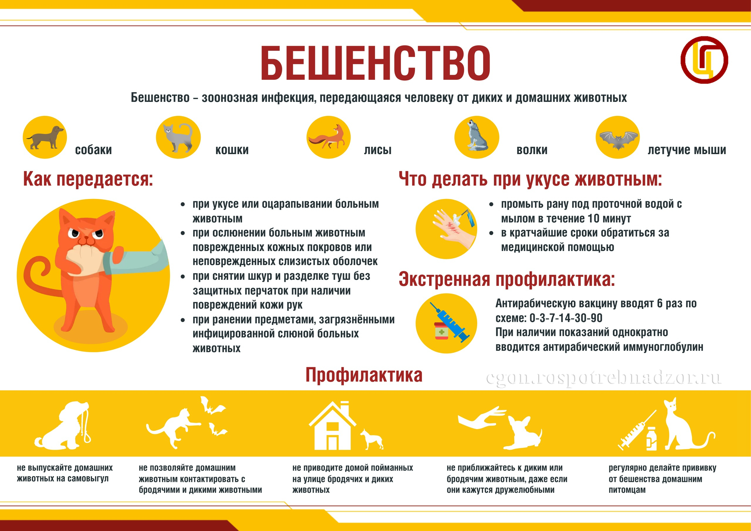 В.Н. Касян стоит ли беременным вакцинироваться от бешенства.