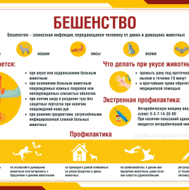 В.Н. Касян стоит ли беременным вакцинироваться от бешенства.