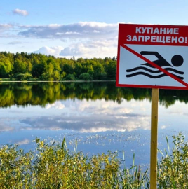 Купание под запретом: как понять, что водоем опасен для здоровья