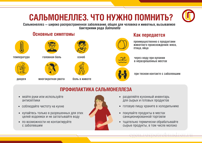 Всемирный день яйца. Сальмонелла – невидимый враг: где прячется бактерия.
