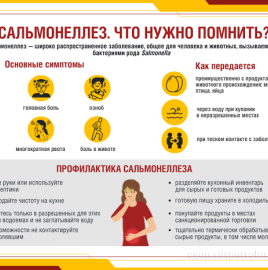 Всемирный день яйца. Сальмонелла – невидимый враг: где прячется бактерия.