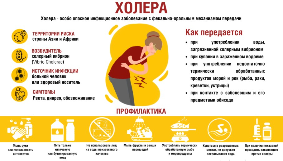 Холера: история болезни.