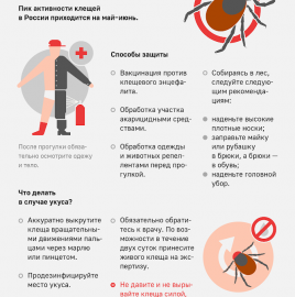 РЕКОМЕНДАЦИИ ГРАЖДАНАМ: КЛЕЩЕВОЙ ВИРУСНЫЙ ЭНЦЕФАЛИТ и меры его профилактики