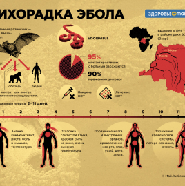 О ситуации по лихорадке Эбола в Демократической республике Конго.
