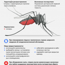 Управление Роспотребнадзора по Чеченской Республике информирует, что в странах Африки, Южной Америки, Карибского бассейна, Юго-Восточной Азии и Океании с экваториально-тропическим климатом широко распространены инфекционные заболевания, передаю