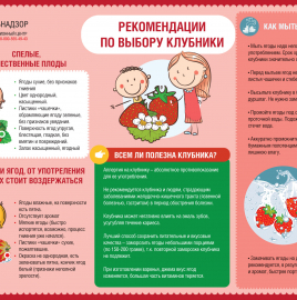О рекомендациях по выбору клубники