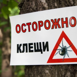 Мониторинг клещевых инфекций на территории Чеченской Республики