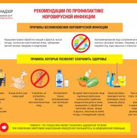 Рекомендации по профилактике норовирусной инфекции