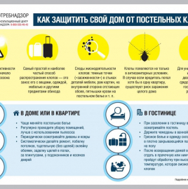 О рекомендациях как защитить свой дом от постельных клопов