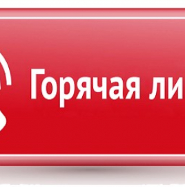 О проведении «горячей линии» по вопросам качества и безопасности плодоовощной продукции и срокам годности.