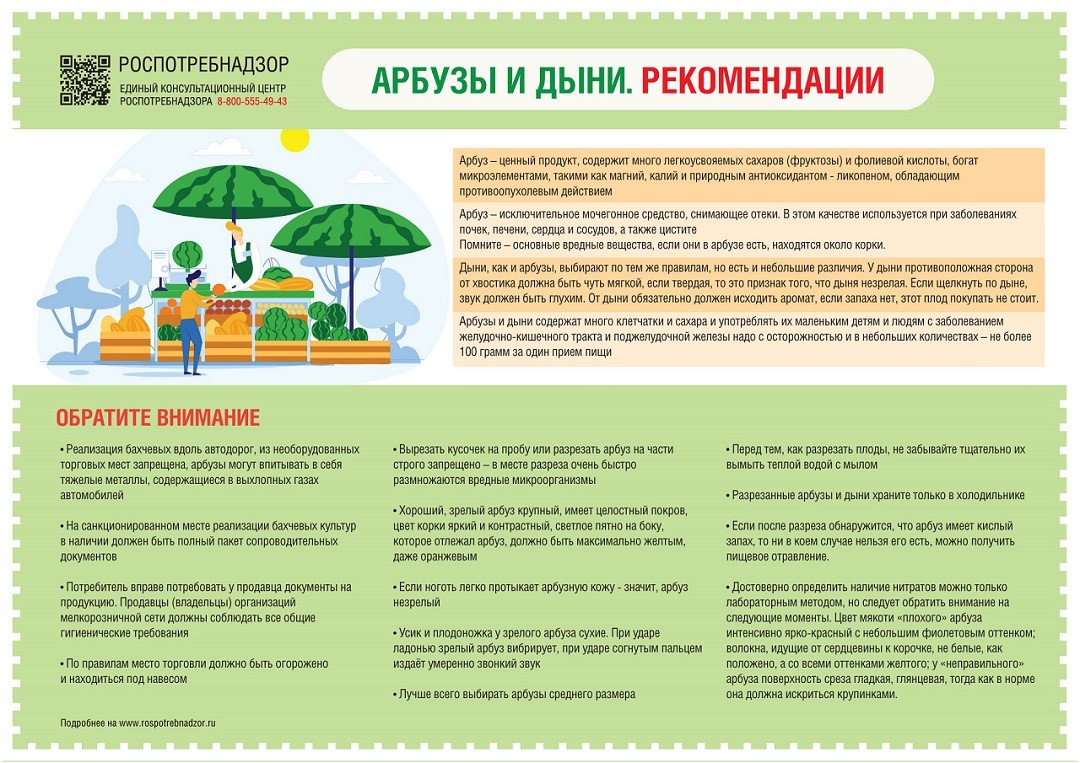 РОСПОТРЕБНАДЗОР: как правильно выбирать арбузы и дыни.