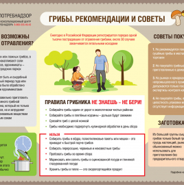 О рекомендациях как выбирать и готовить грибы