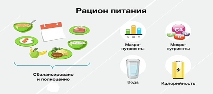Рацион питания для школьника