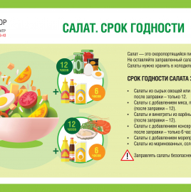 О рекомендациях по срокам годности салатов