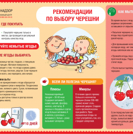 О рекомендациях по выбору черешни.